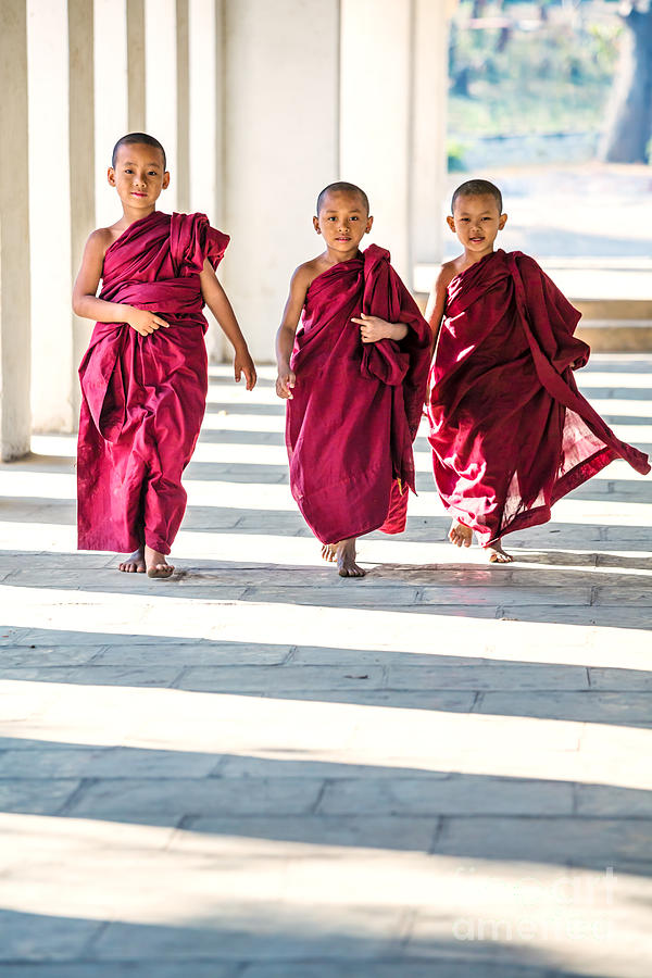 Buddhist Photograph - Three novice monks walking - Myanmar by Matteo Colombo