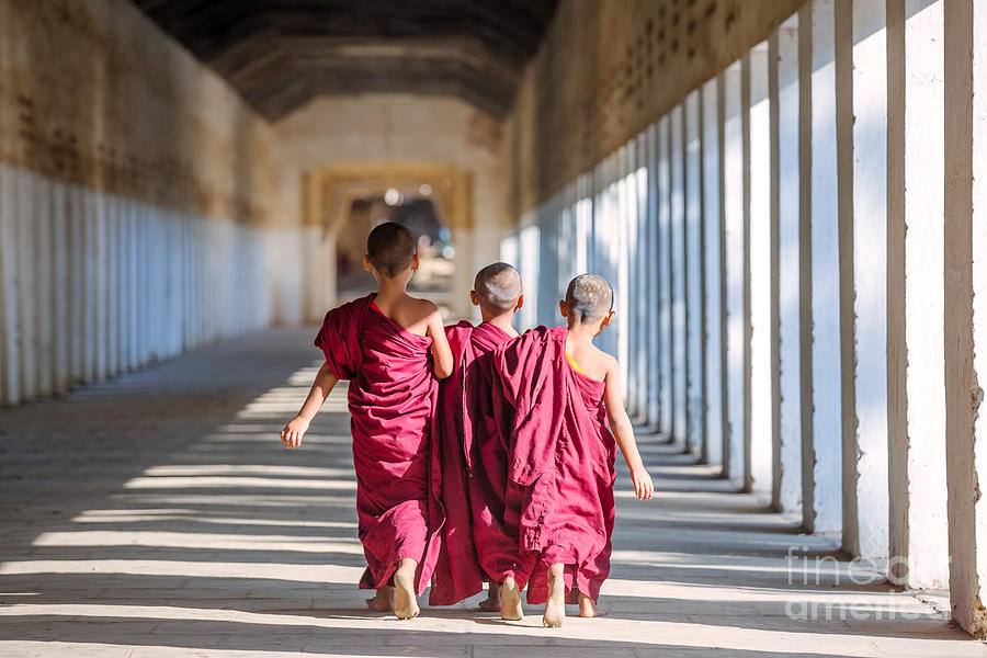 Three novice monks walking to a temple - Myanmar Photograph by Matteo Colombo