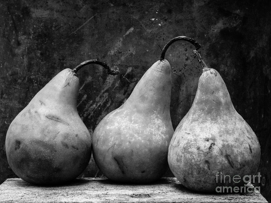 Three Pear Still Life Black and White Photograph by Edward Fielding