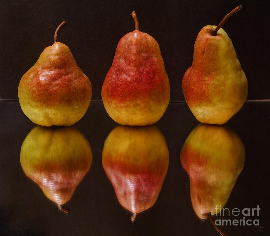 Three Pears Photograph by Jacklyn Duryea Fraizer