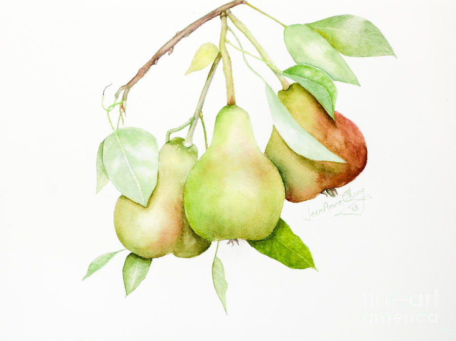 Three Pears Painting by Jean A Chang