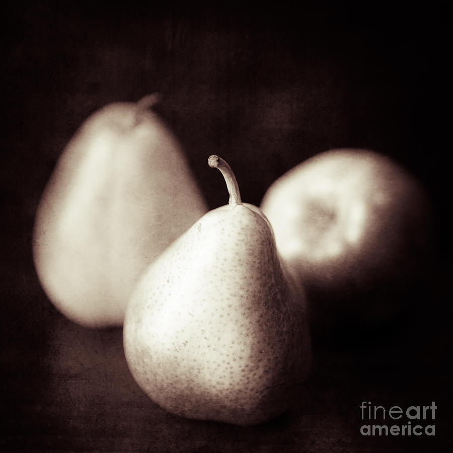 Still Life Photograph - Three Pears by Lisa McStamp