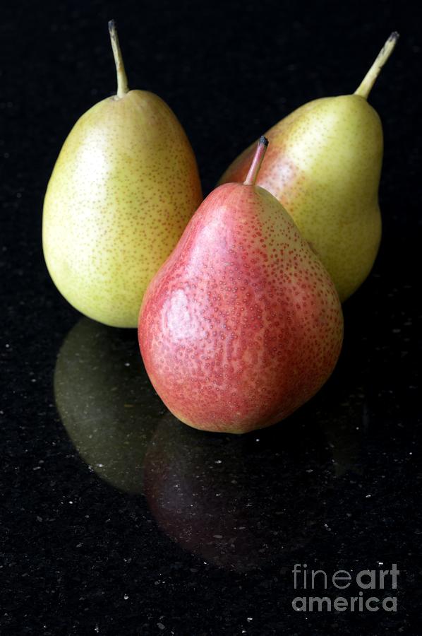 Pear Photograph - Three Pears - Still Life by Wendy Wilton