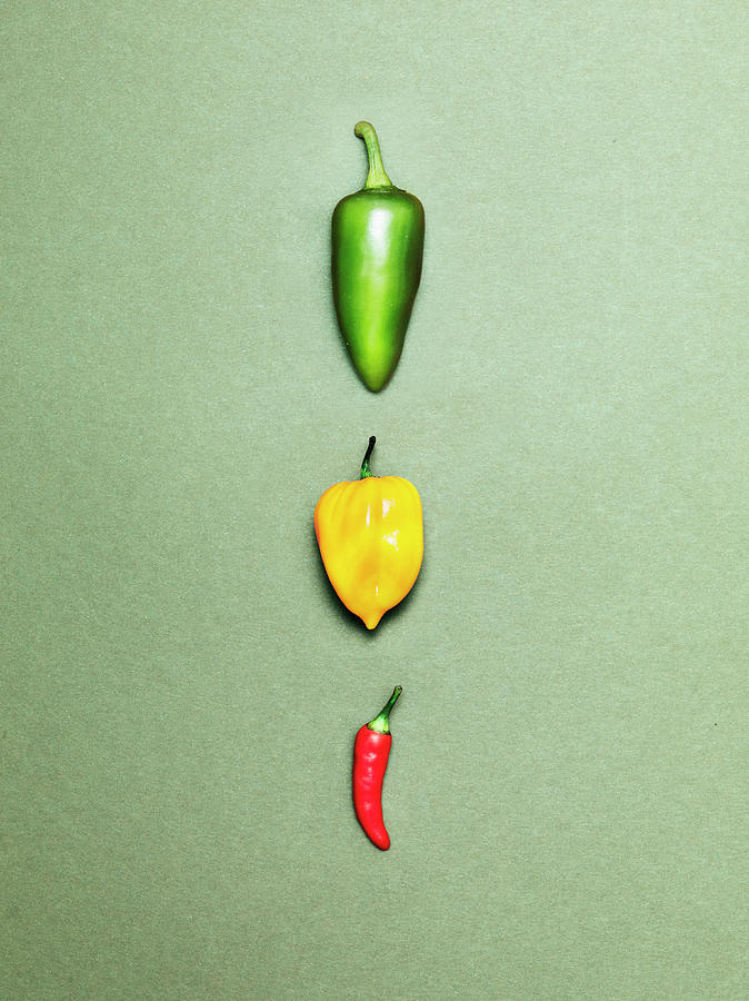 Three Peppers Photograph by Henrik Sorensen