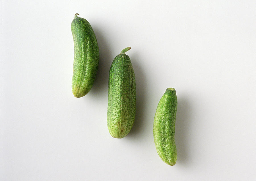 Three pickle cucumbers in diagonal line, white background Photograph by Isabelle Rozenbaum & Frederic Cirou