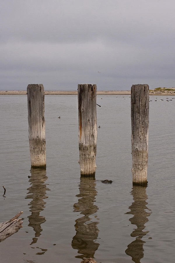 Bird Photograph - Three Pillars by Bob and Jan Shriner