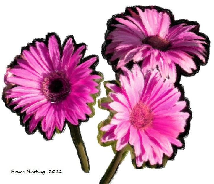 Three Pink Flowers Painting by Bruce Nutting