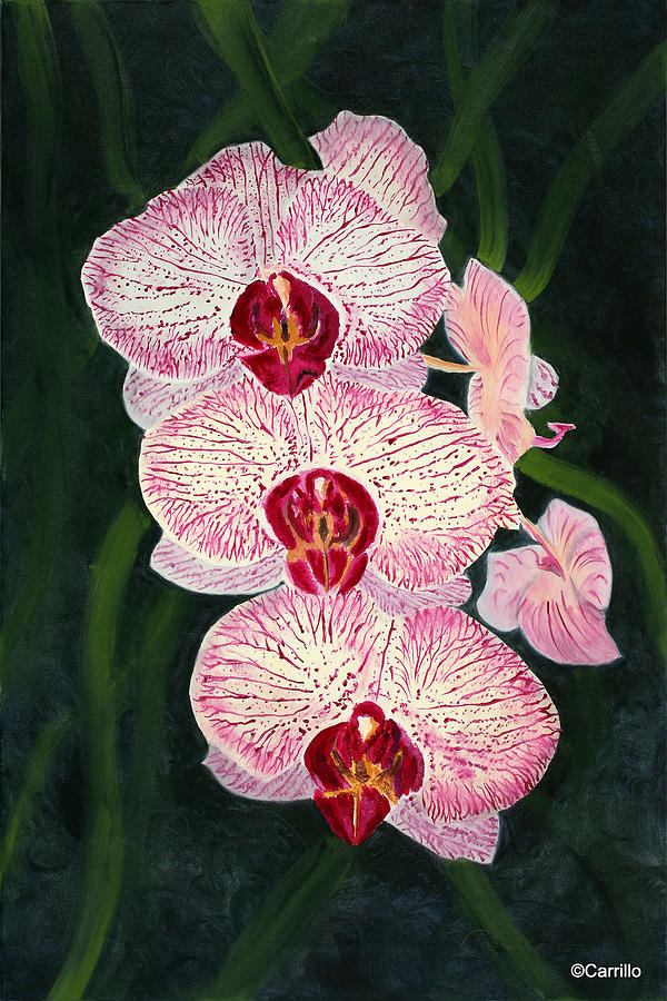 Three Pink Orchids Painting by Ruben Carrillo