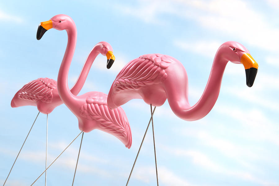Three pink plastic lawn flamingos against blue sky background Photograph by Dny59
