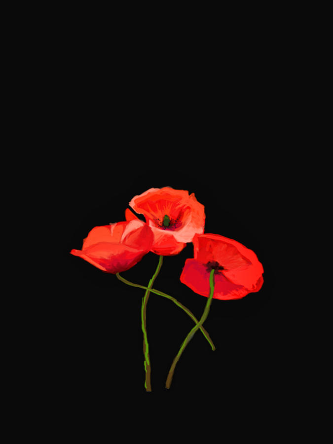 Poppy Photograph - Three Poppies on Black by Lynn Bolt