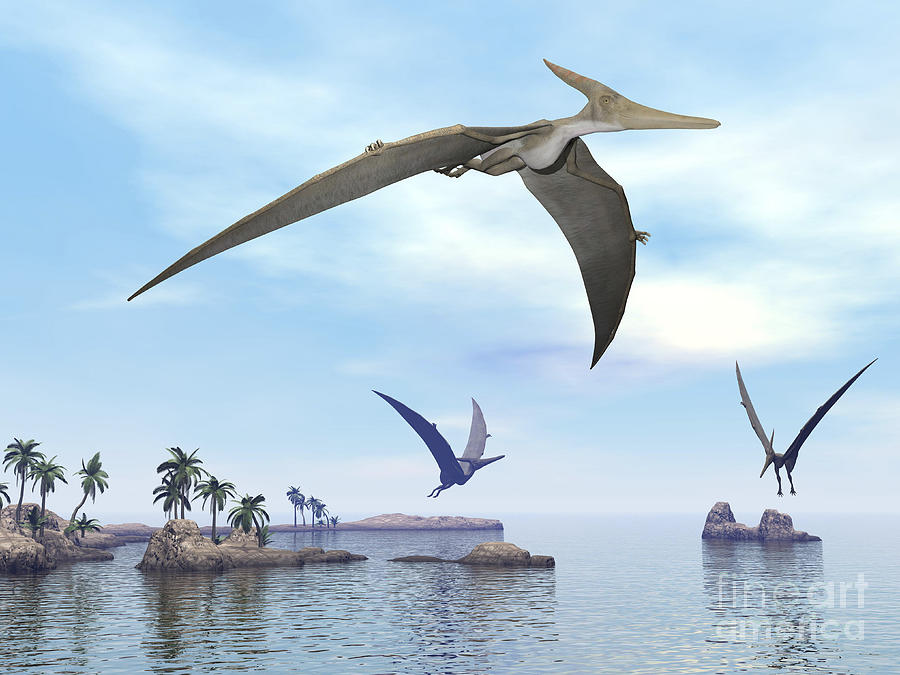 Three Pteranodons Flying Over Landscape Digital Art