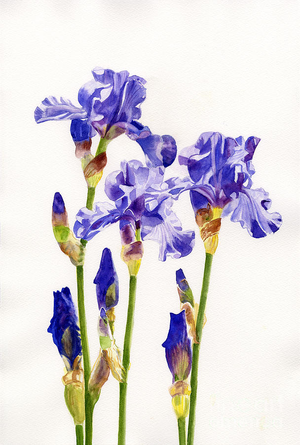 Three Purple Irises Painting by Sharon Freeman