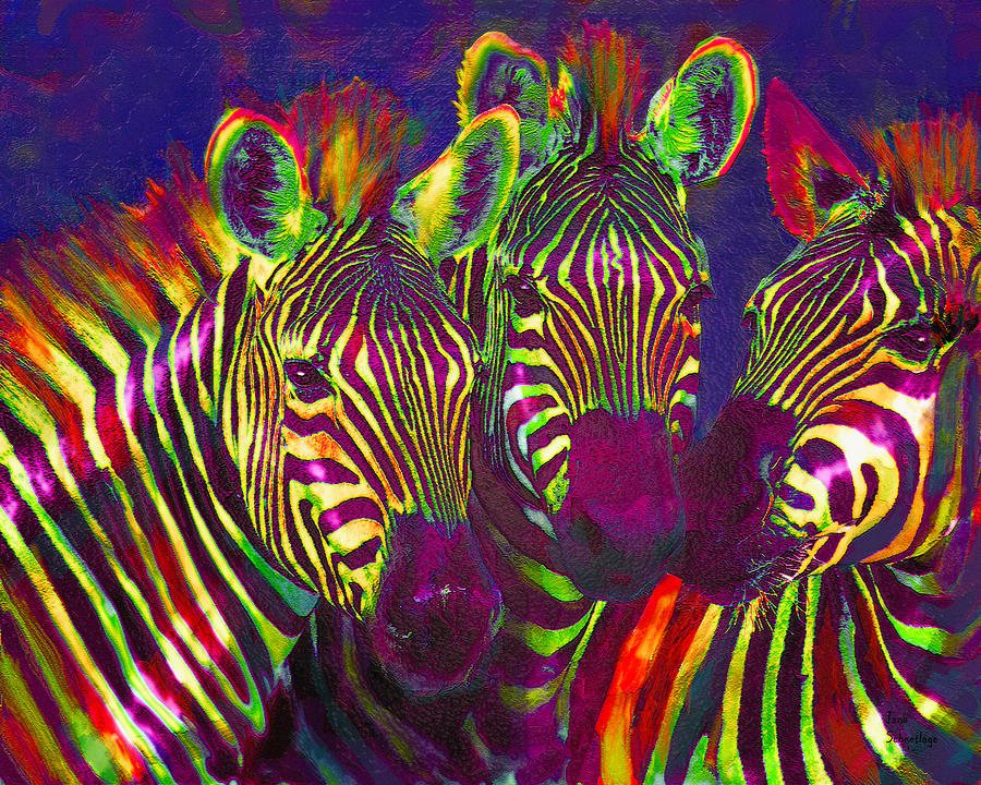 Zebra Digital Art - Three Rainbow Zebras by Jane Schnetlage