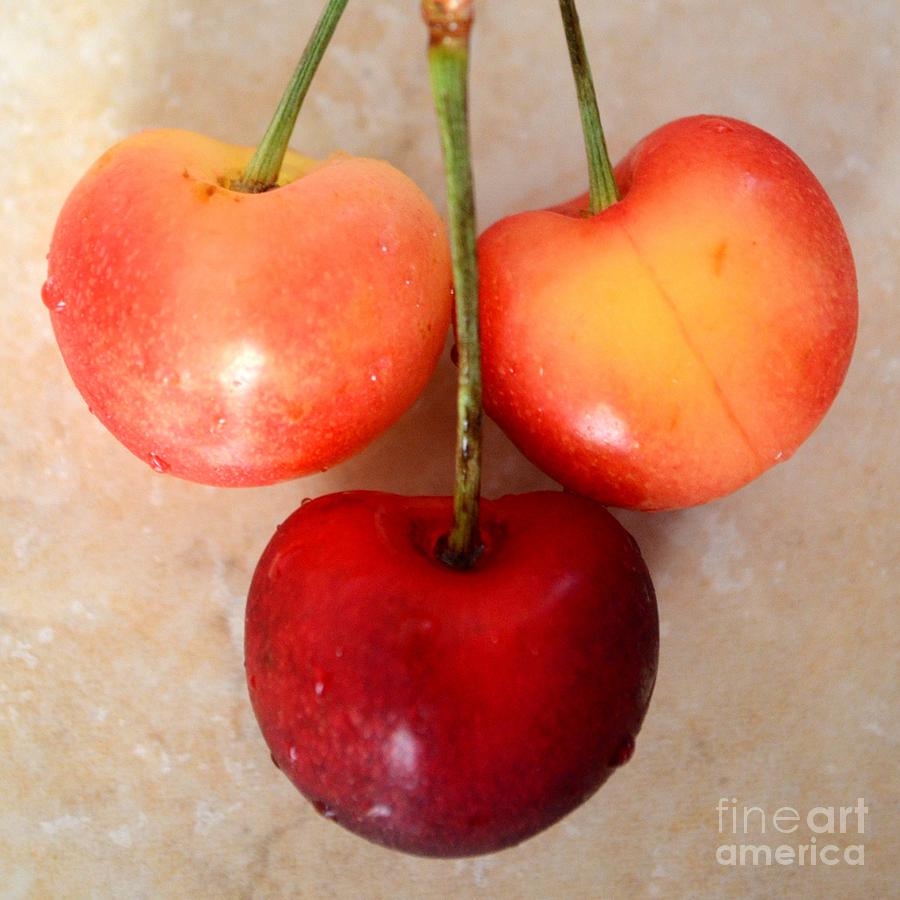 Fruit Photograph - Three Rainier Cherries by Mary Deal
