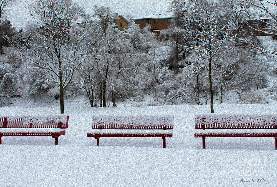 Three Red Benches in the Snow Photograph by Nina Silver