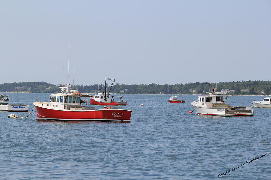 Three Red Boats Photograph by Becca Wilcox