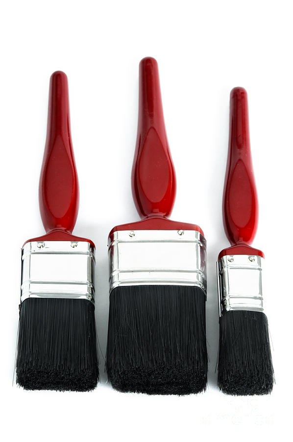 Three Red Paint Brushes Photograph by Lee Avison