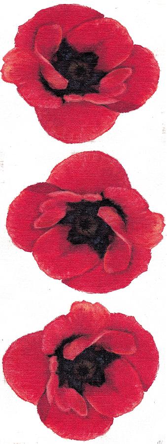 Three Red Poppies Painting by Cecely Bloom