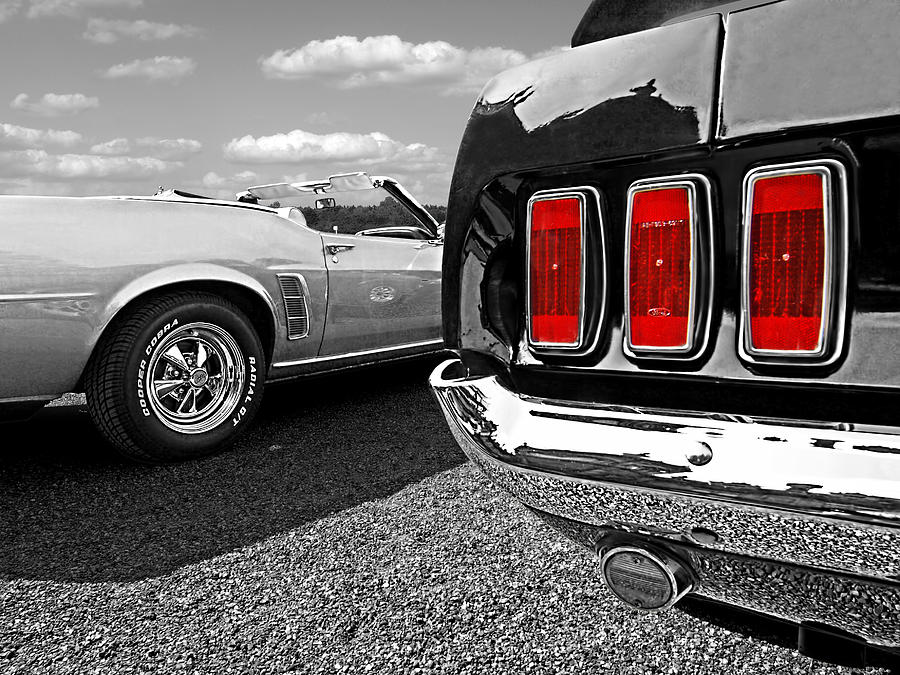 Three Reds Photograph by Gill Billington