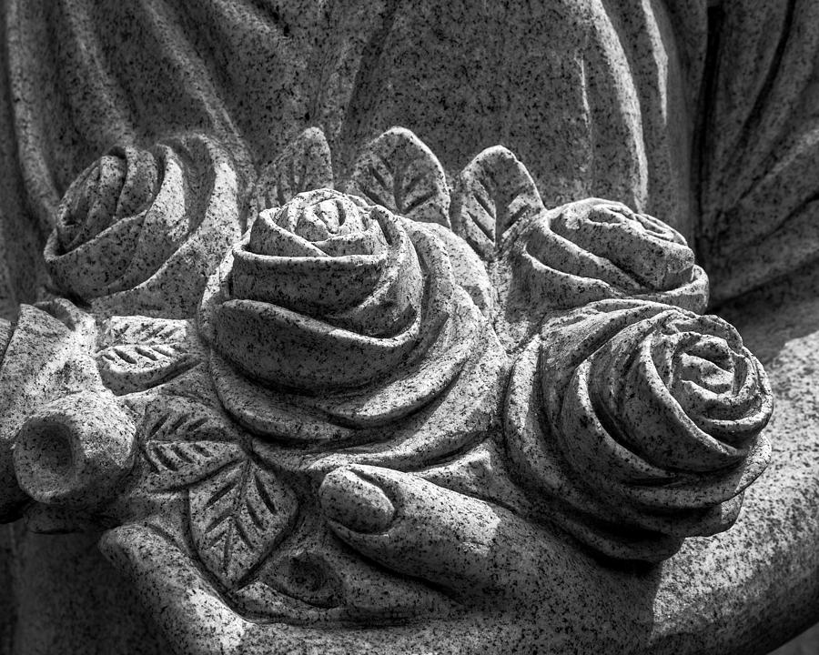 Three Roses Photograph
