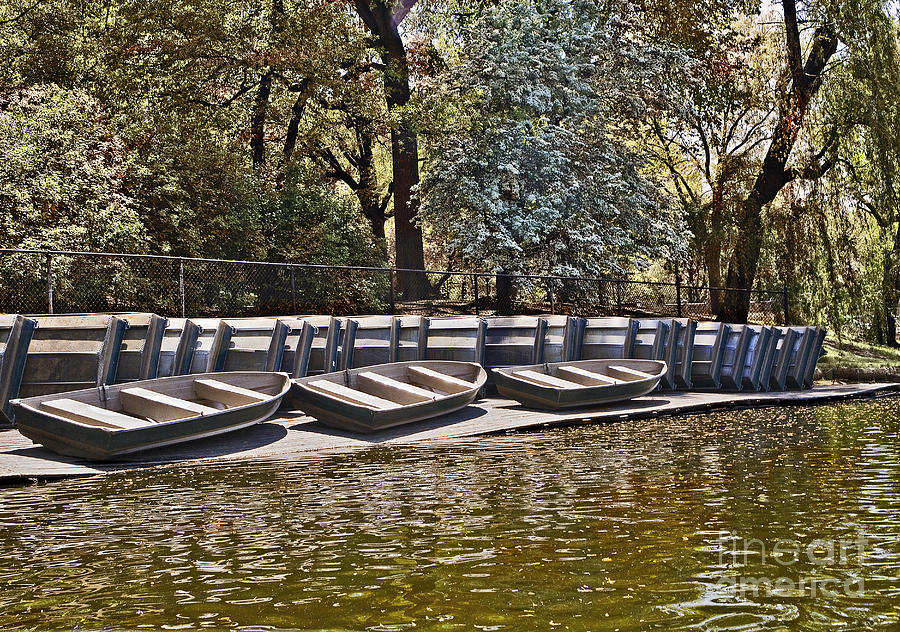 Three Row Boats Photograph by Madeline Ellis