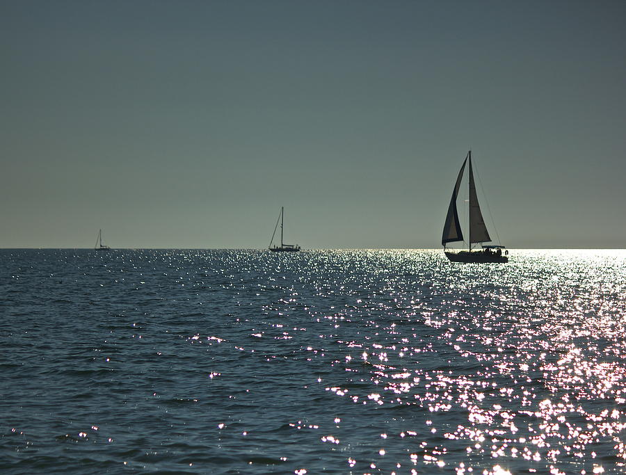 Three Sailboats Photograph by Amazing Jules