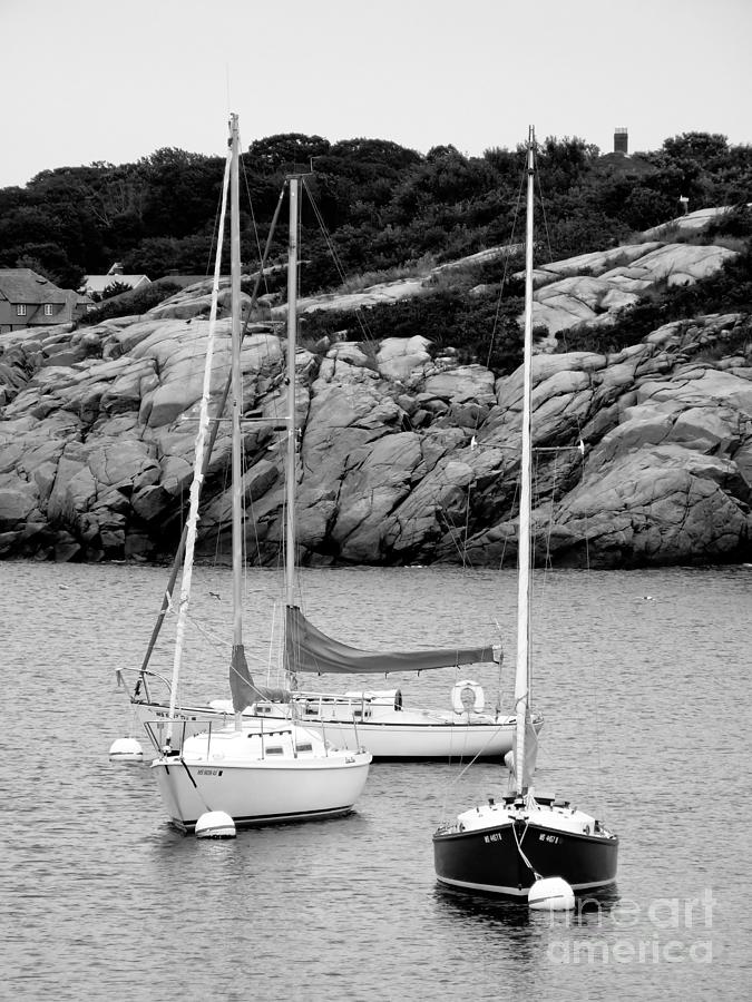 Three Sailboats in Black and White Photograph by Kristen Fox