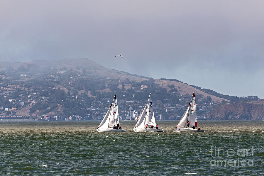 Three Sailboats Photograph by Kate Brown