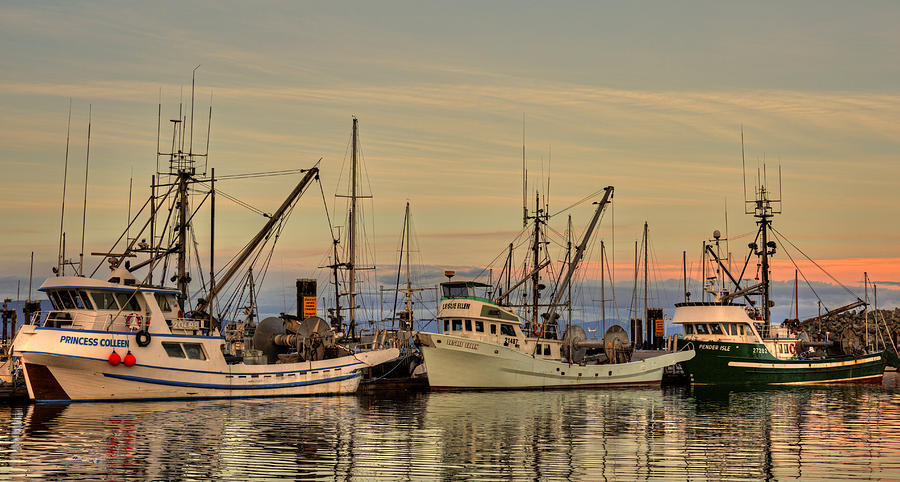 Three Seiners Photograph by Randy Hall