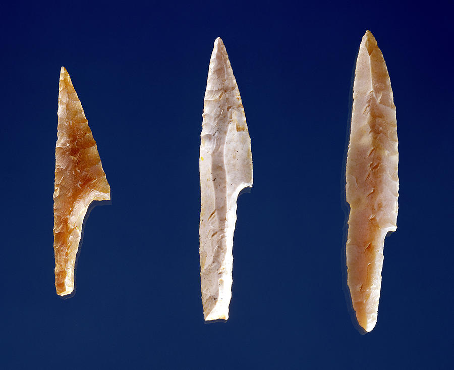 Paleolithic Photograph - Three Serrated Points, From Volgu, Solutrean Period, 20000-15000 Bc Flint by Prehistoric