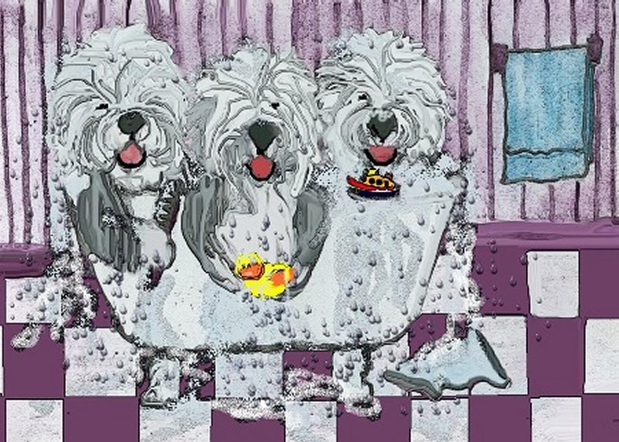 Sheepdog Mixed Media - Three Sheepdogs in a Tub by Cathy Howard