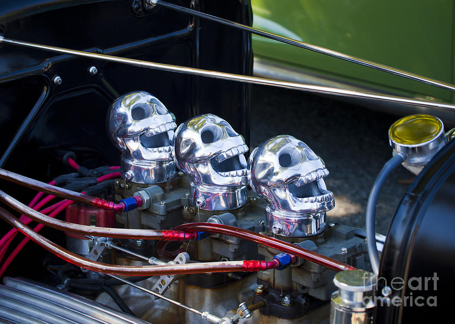Three Skulls Photograph by Chris Dutton