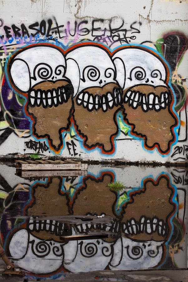 Skull Photograph - Three Skulls Graffiti by Carol Leigh