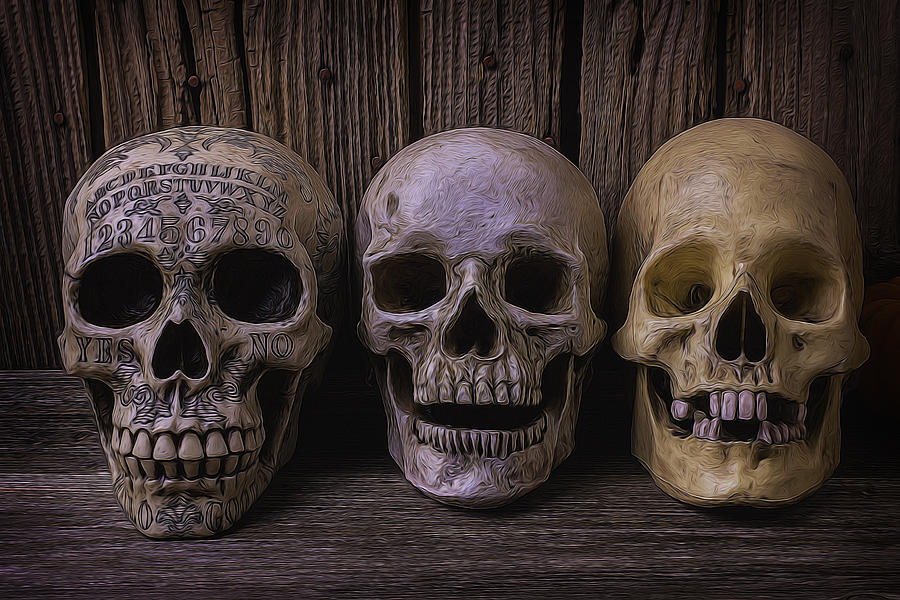 Skull Photograph - Three Smiling Skulls by Garry Gay