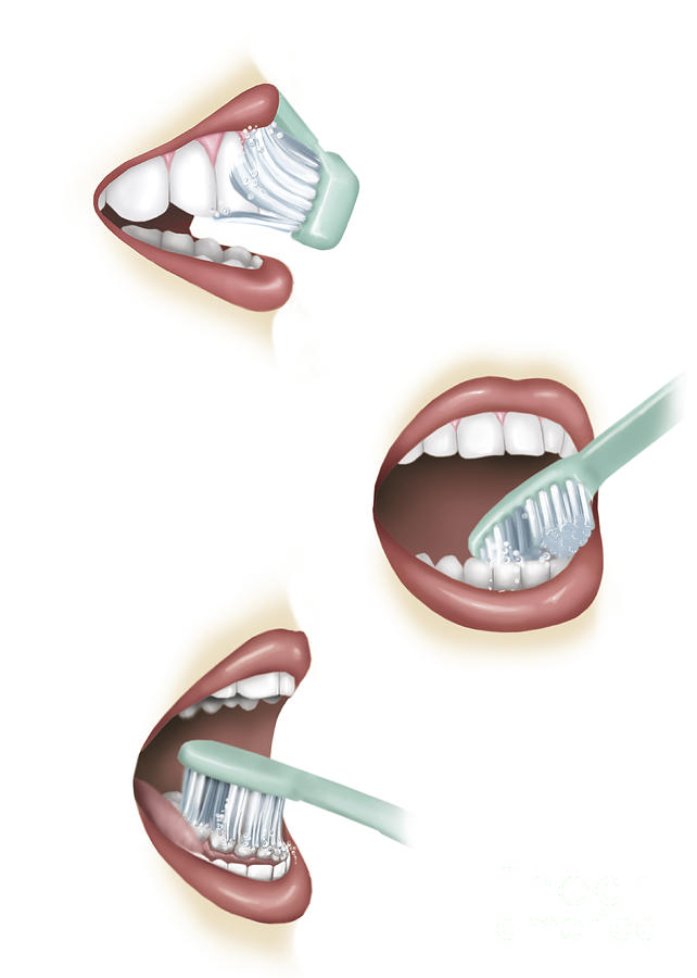 Vertical Digital Art - Three Steps Of Proper Tooth Brushing by TriFocal Communications