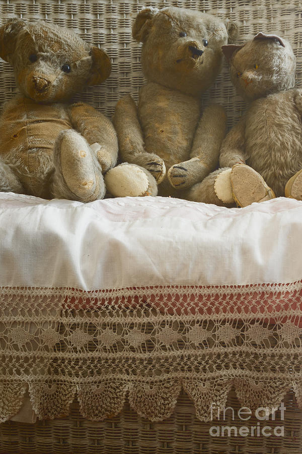 Three Stuffed Toys Photograph by Margie Hurwich