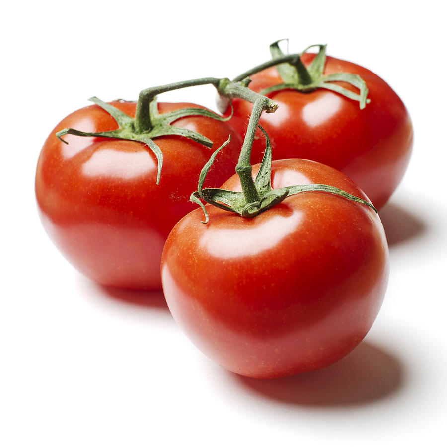 Tomato Photograph - Three Tomatoes on Vine by Donald  Erickson