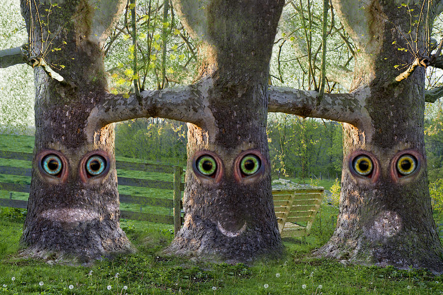 Tree Digital Art - Three Trees by Betsy Knapp