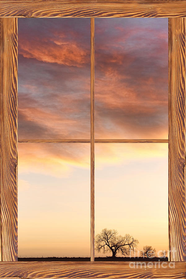 Tree Photograph - Three Trees Sunrise Barn Wood Picture Window Frame View by James BO Insogna