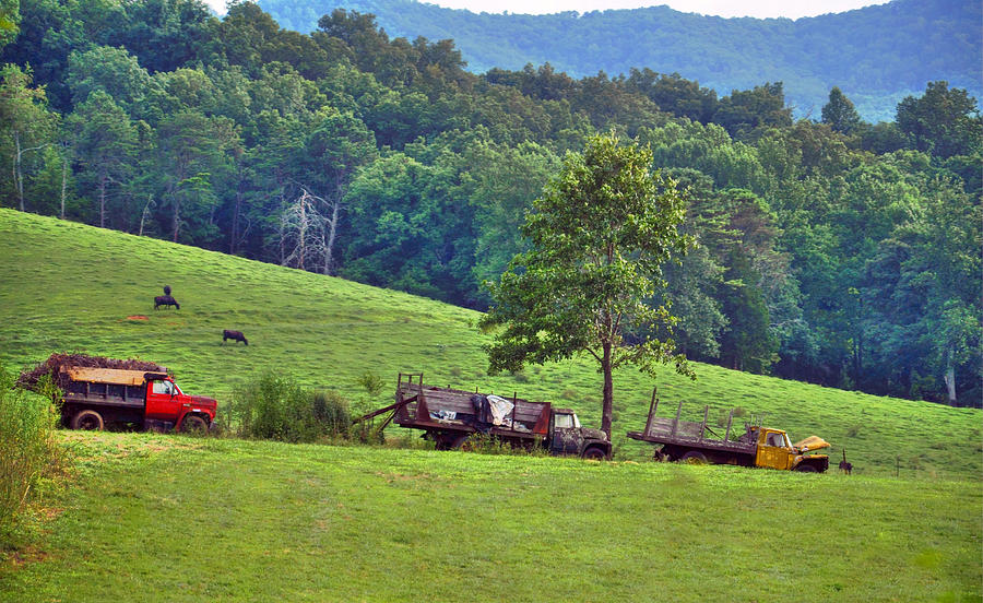 Three Trucks Photograph by Savannah Gibbs
