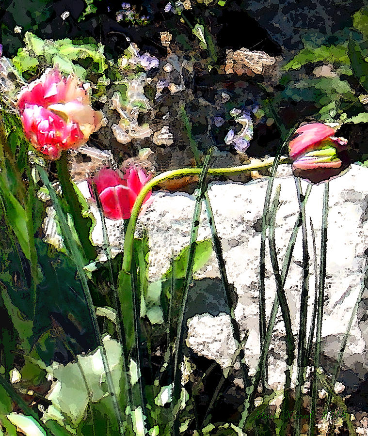 Three Tulips Digital Art by Steve Karol