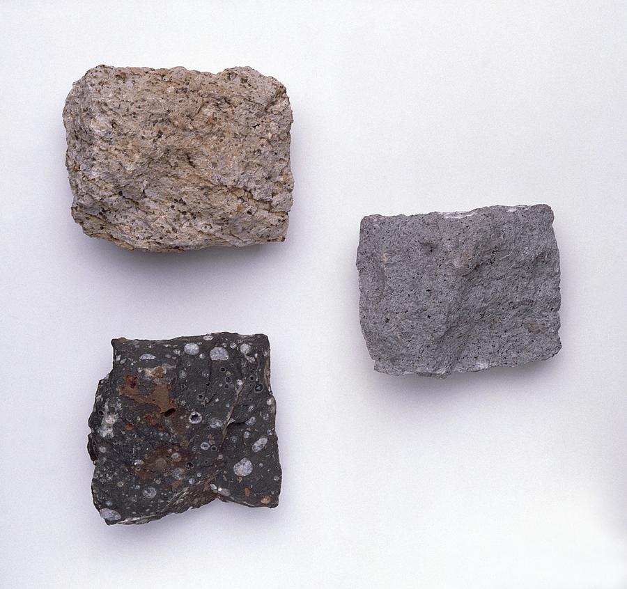 Three Types Of Granite Rock Photograph By Dorling Kindersley Uig   Three Types Of Granite Rock Dorling Kindersleyuig 