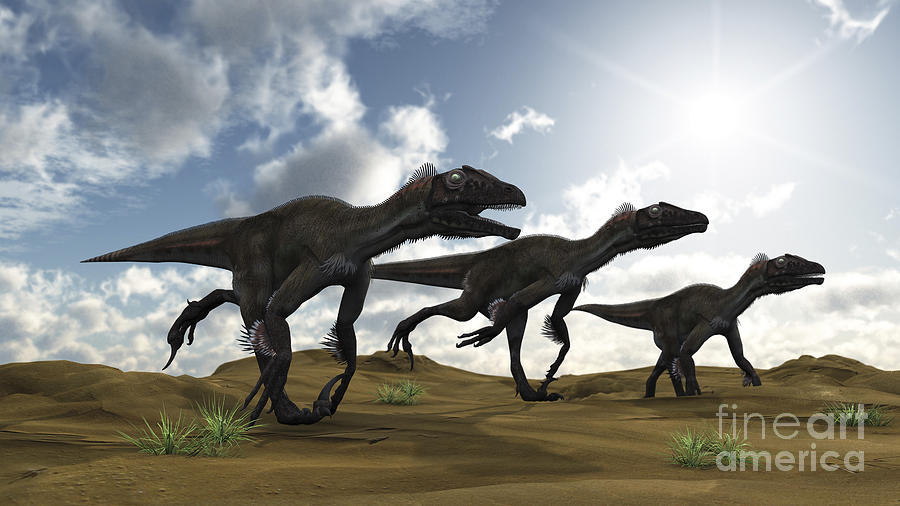 Dinosaur Digital Art - Three Utahraptors Running Across Desert by Kostyantyn Ivanyshen