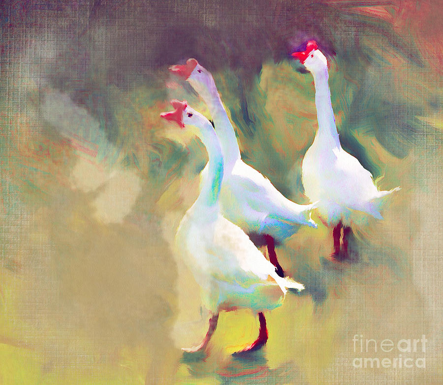 Three White Geese Painting by Ted Guhl