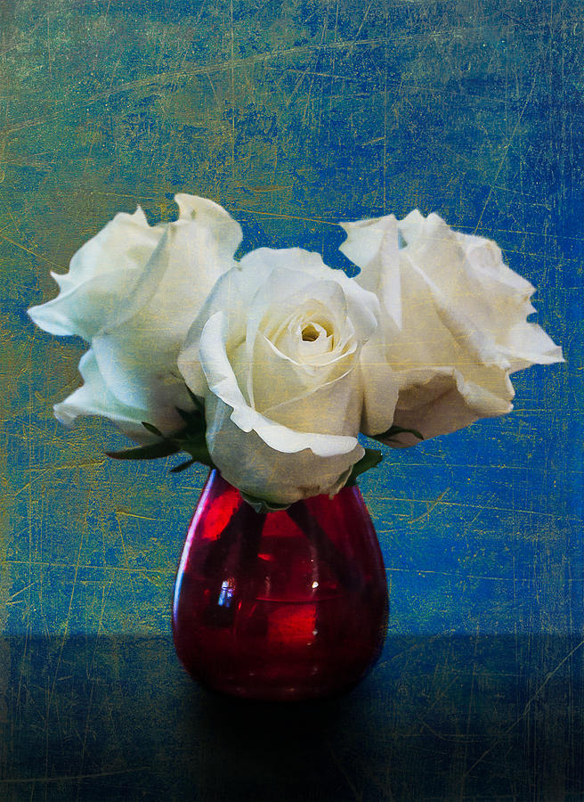 Three White Roses Digital Art