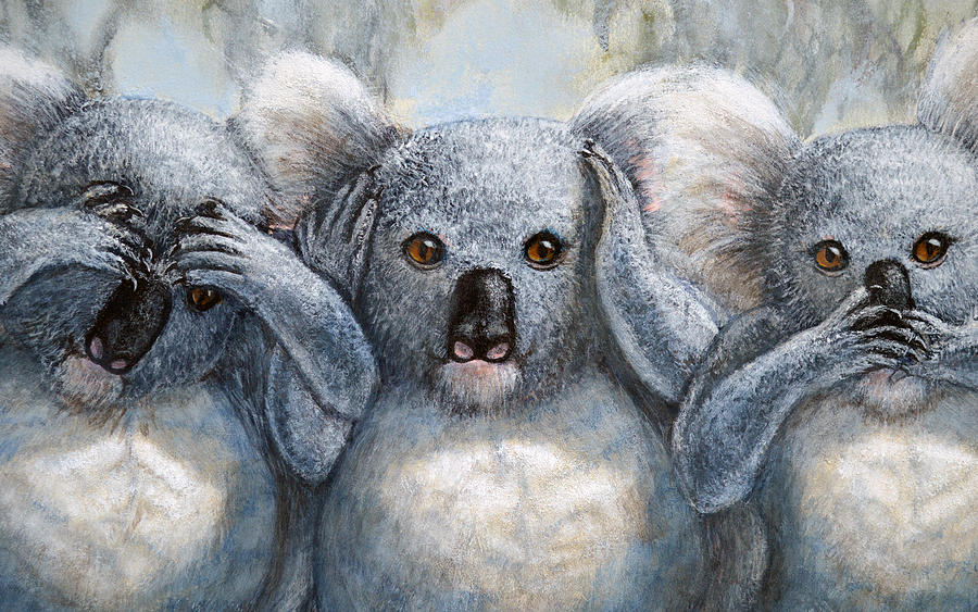 Three Wise Koalas close up Painting by David Clode