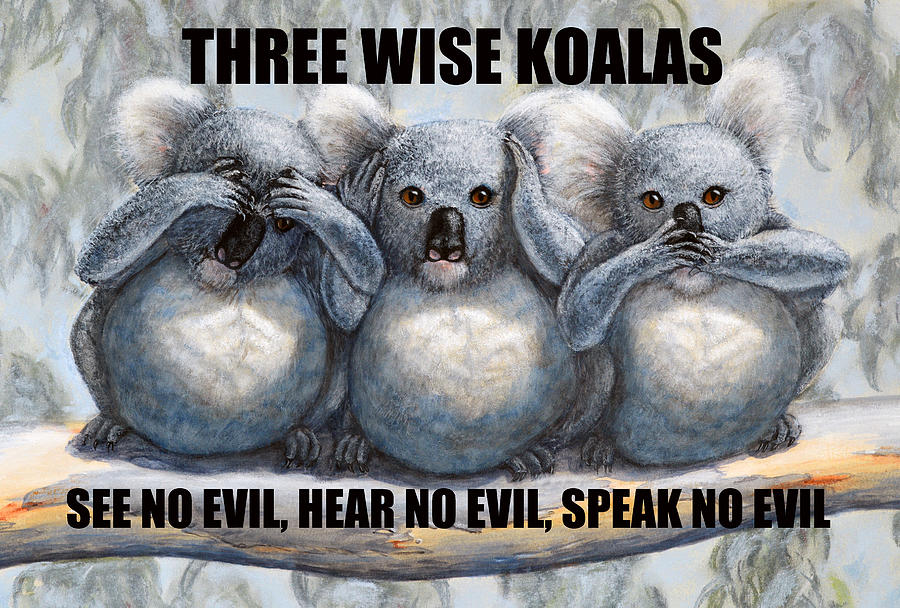Three Wise Koalas with text Painting by David Clode
