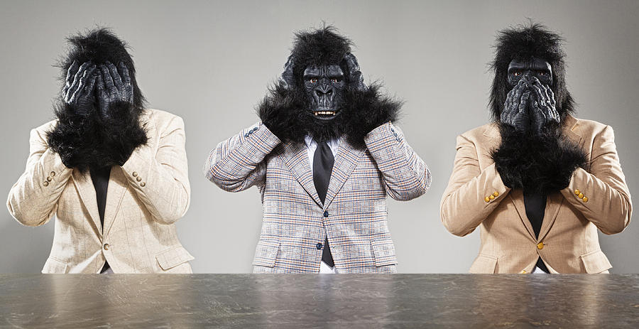 Three Wise Monkeys Photograph by RichLegg