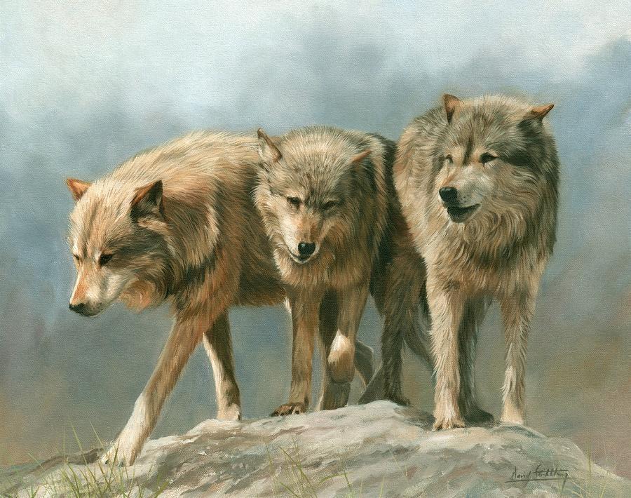 Wolves Painting - Three Wolves by David Stribbling