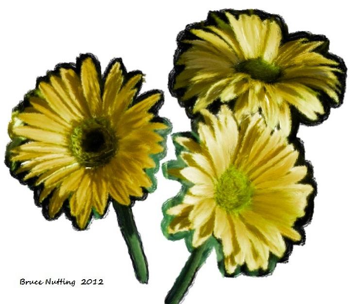 Three Yellow Flowers Painting by Bruce Nutting